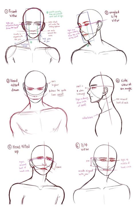 bust drawing reference ~ bust lineart commission reference by mayakoequalstrashcan on