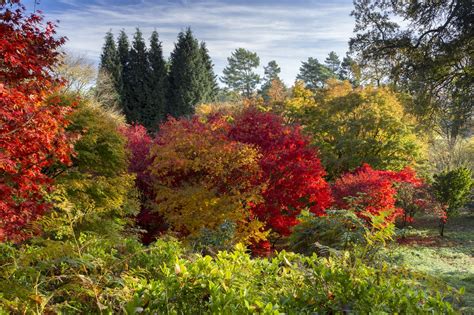 Best Autumn Walks In The Uk That Showcase The Prettiest Spots Of The British Countryside