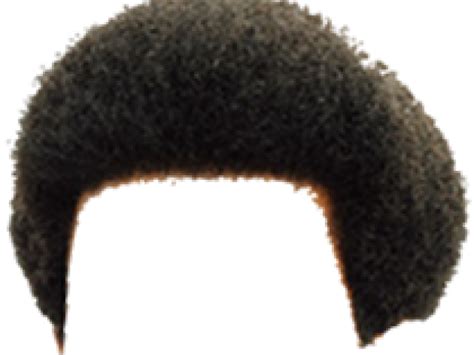 Hair Afro Png