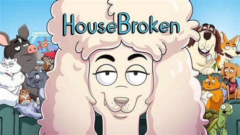 How To Watch Housebroken Season Online From Anywhere Technadu