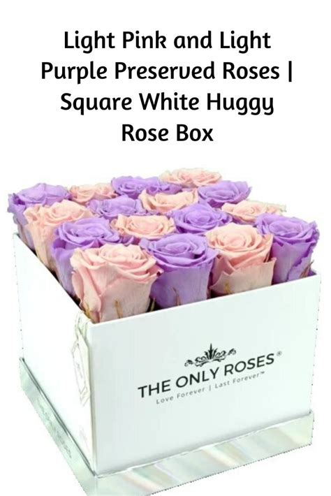 Light Pink And Light Purple Preserved Roses Square White Huggy Rose