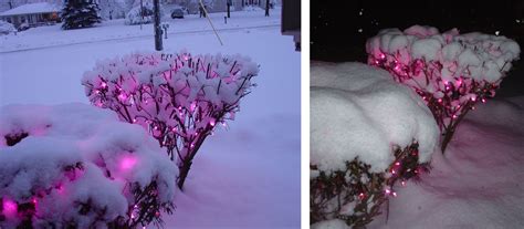 My Pink Fairy~christmas Lights I Got This Year They Re Staying Up All Year Christmas Tree