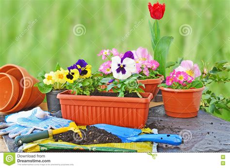 How To Plant Flowers In Pots Outdoors Gardenpicdesign