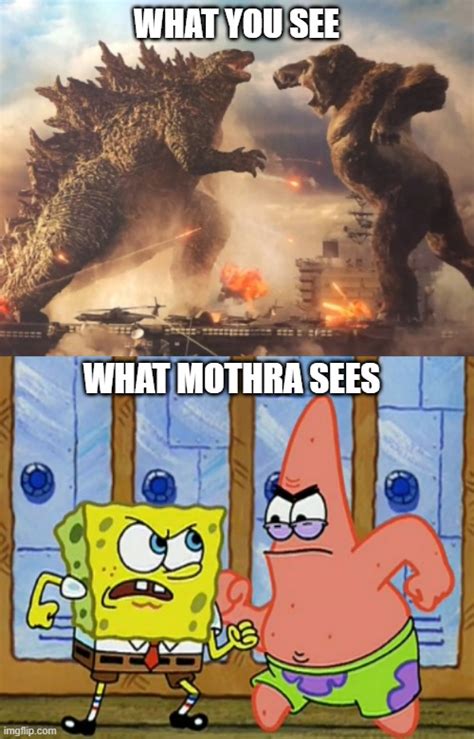 What If Mothra Saw Godzilla And Kong Fighting Imgflip