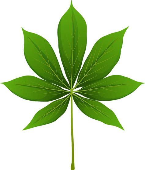 California Buckeye Spring Leaf Clipart Free Download Transparent Png
