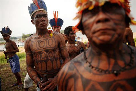 uncontacted indigenous people have been murdered by gold miners in the brazilian amazon