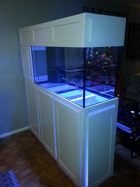 Installing a tank divider may not be enough to dissuade aggressive behavior, especially if the aggressive fish can see through the divider. DIY- New Build: 90gal Room Divider - Reef Central Online Community | Aquarium stand, Diy ...