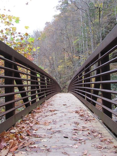 these 15 epic hiking spots in west virginia are jaw droppingly awesome west virginia hiking