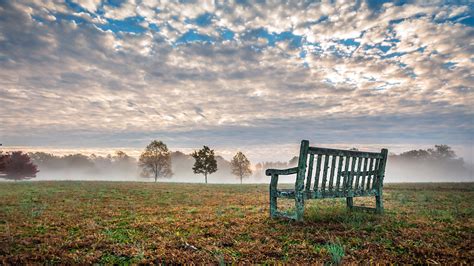 Wood Bench In Green Grass Field Trees With Fog Under White Clouds Blue