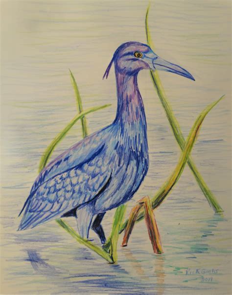 Little Blue Heron Original Colored Pencil Drawing Bird Art Etsy