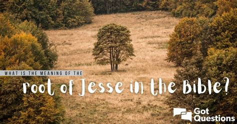 What Is The Meaning Of The Root Of Jesse In The Bible