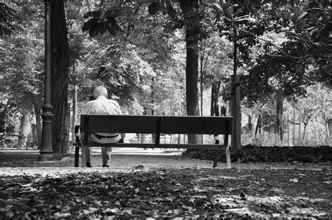 Old Man Sitting Alone On A Bench Cc Photo