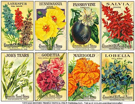 Antique Flower Seed Packets Printed Sheet Vintage Seed Etsy Flower