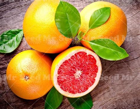 A sweet predecessor of the grapefruit, this generously sized citrus fruit is packed with nutrients and can be enjoyed solo or mixed into salads, salsas and cocktails. 20pcs Pomelo Citrus Seeds- Grapefruit Rare Fruit For Home ...