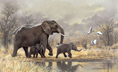 Johan Hoekstra Wildlife Art Collection Elephant Pictures