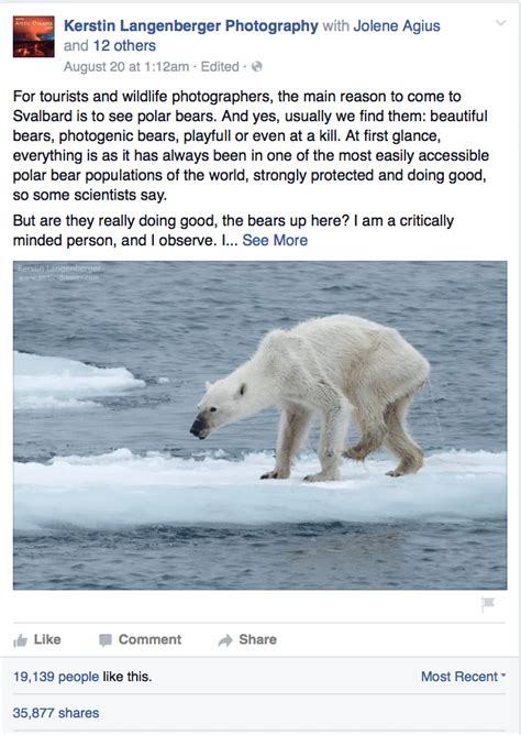 The Future Of Polar Bears Can Be Summarized In This One Horrific Photo