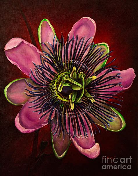 Painted Passion Flower Painting By Zina Stromberg Fine Art America