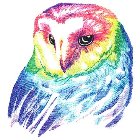 Wild Rainbow Owl