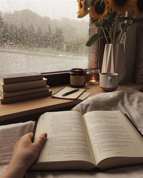 Pin By Натали Валентинова On Books Lover Book Aesthetic Brown