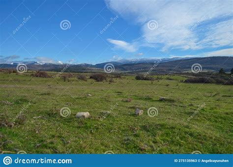 Green Meadows With Snow Capped Mountains On The Distance Stock Image