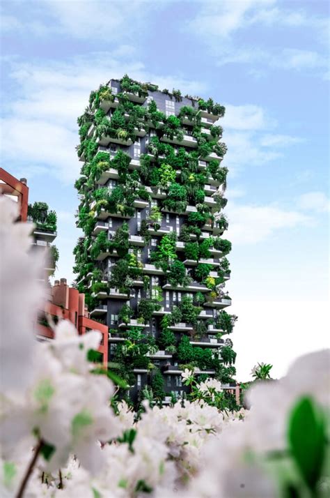 The Vertical Forest In Milan Wonder Of The Urban Design
