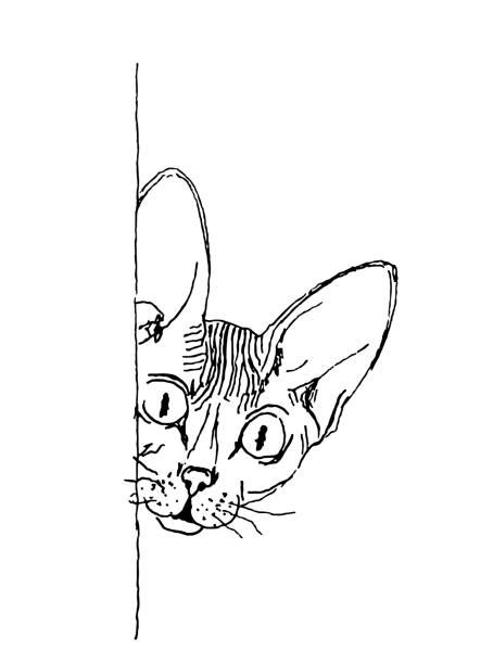Cat Looking Out Window Drawing Illustrations Royalty Free Vector
