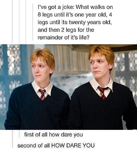 harry potter jokes that only the best fans will get