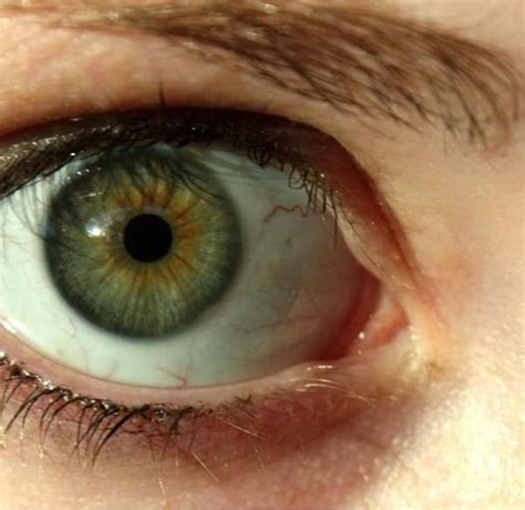 Зеленые Глаза У Мужчин Фото — Фото