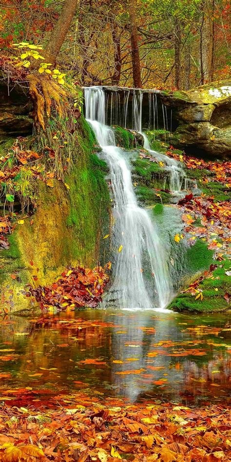 Waterfall Autumn Lovely Stream 1440x2880