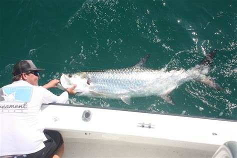 Tarpon Fishing In Florida All You Need To Know