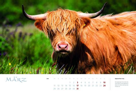 Kalender Schottland 2024 „myhighlands Schottlands Mythen Und Wunder“