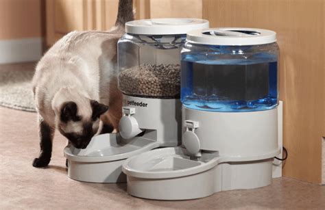 7 Best Automatic Cat Feeder Reviews Updated 2018 Pawsome Kitty