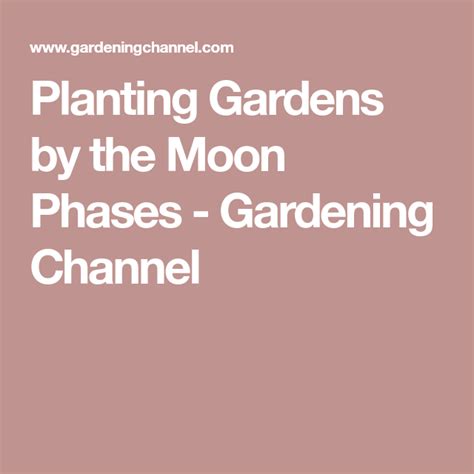 Planting Gardens By The Moon Phases Gardening Channel Garden Plants