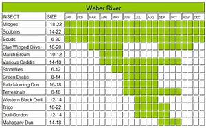 Weber River Hatch Chart