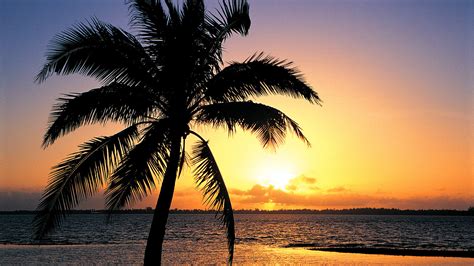 Free Download Orange Sunset On The Tropic Beach Background Beach