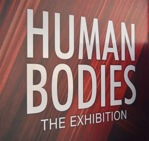 Viajar A Barcelona Exposición Human Bodies Barcelona