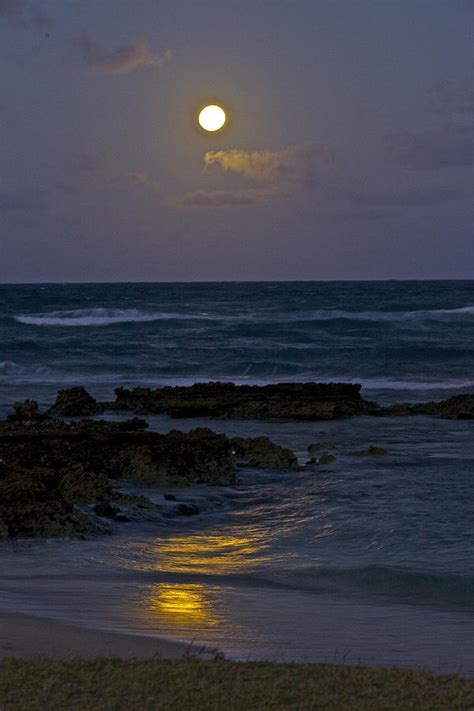 85 Best Moon Over The Beach Images On Pinterest Blue Moon Harvest