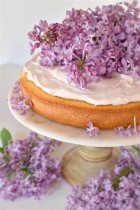 How To Use Lilacs In Baking Yes Theyre Edible ⋆ Sometyme Place