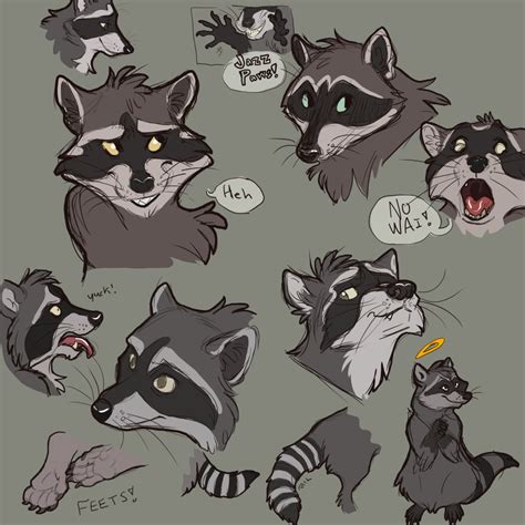 Raccoon Sketches — Weasyl