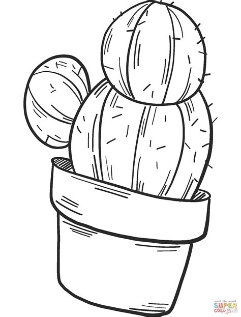 Free Cactus Coloring Pages Coloring Pages