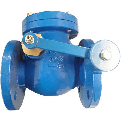 Swing Flanged Non Return Valve Dn 100mm Superpump