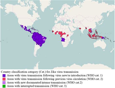 Frontiers Zika Virus What Have We Learnt Since The Start Of The Recent Epidemic Microbiology