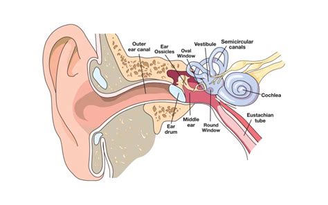 How To Deal With Other Ear Problems Divers Alert Network