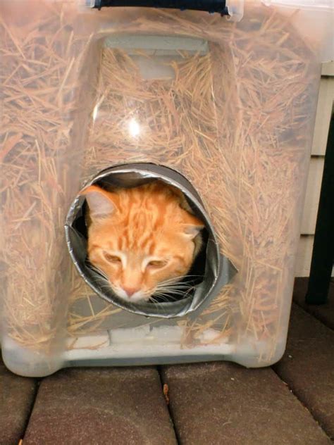 Best Diy Outdoor Cat House Plans