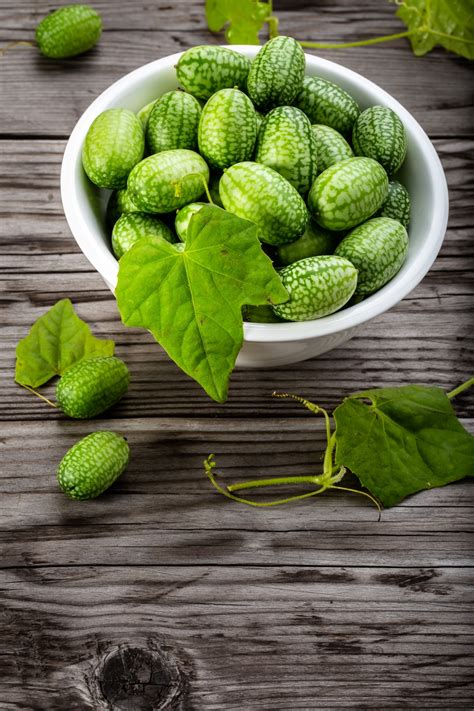 What Is A Cucamelon Can I Grow Them Noshing With The Nolands