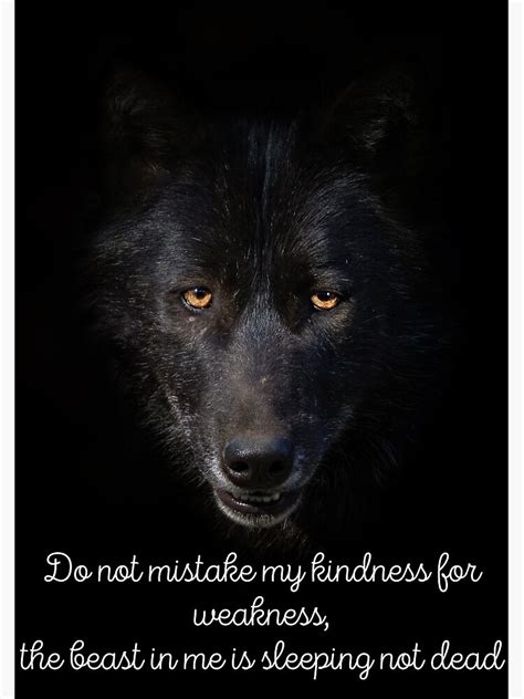 Black Wolf Inspirational Quote Fierce Wolf With Yellow Eyes Predator