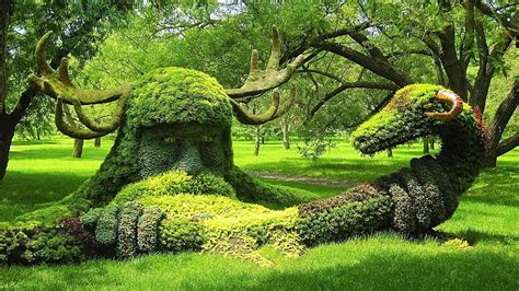 Green Grass Creativity Nature Sculpture Moss Trees Hd Wallpaper