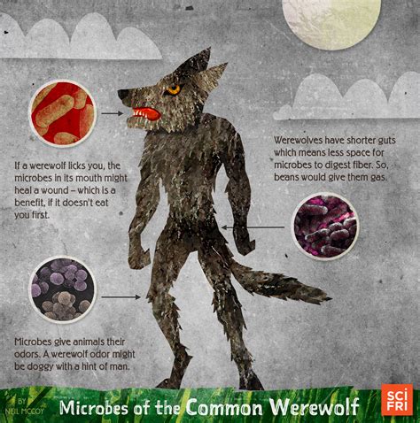 Types Of Werewolf