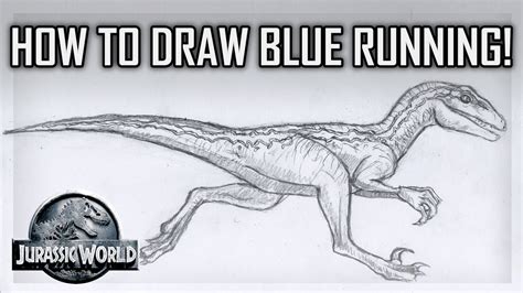 Tutorial How To Draw Blue The Velociraptor Running Jurassic World Youtube