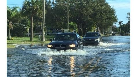 The company trains, coaches, and develops their. st pete flooding - John Englander - Sea Level Rise Expert